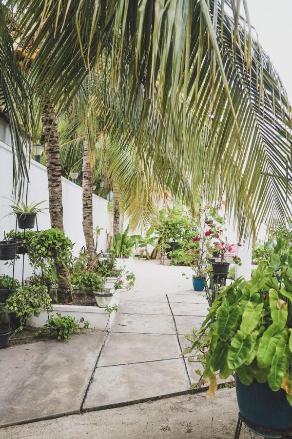 Fiyala Homestay Addu City Exteriér fotografie
