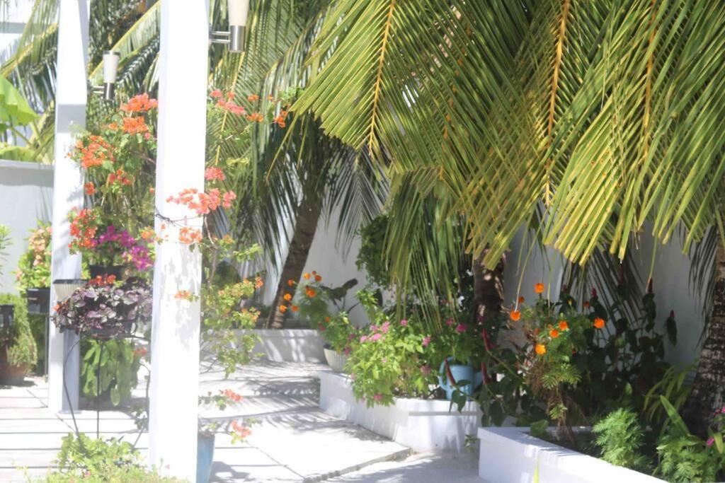 Fiyala Homestay Addu City Exteriér fotografie